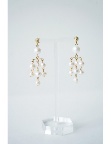 Swan - Wedding dangling earrings Venez acheter